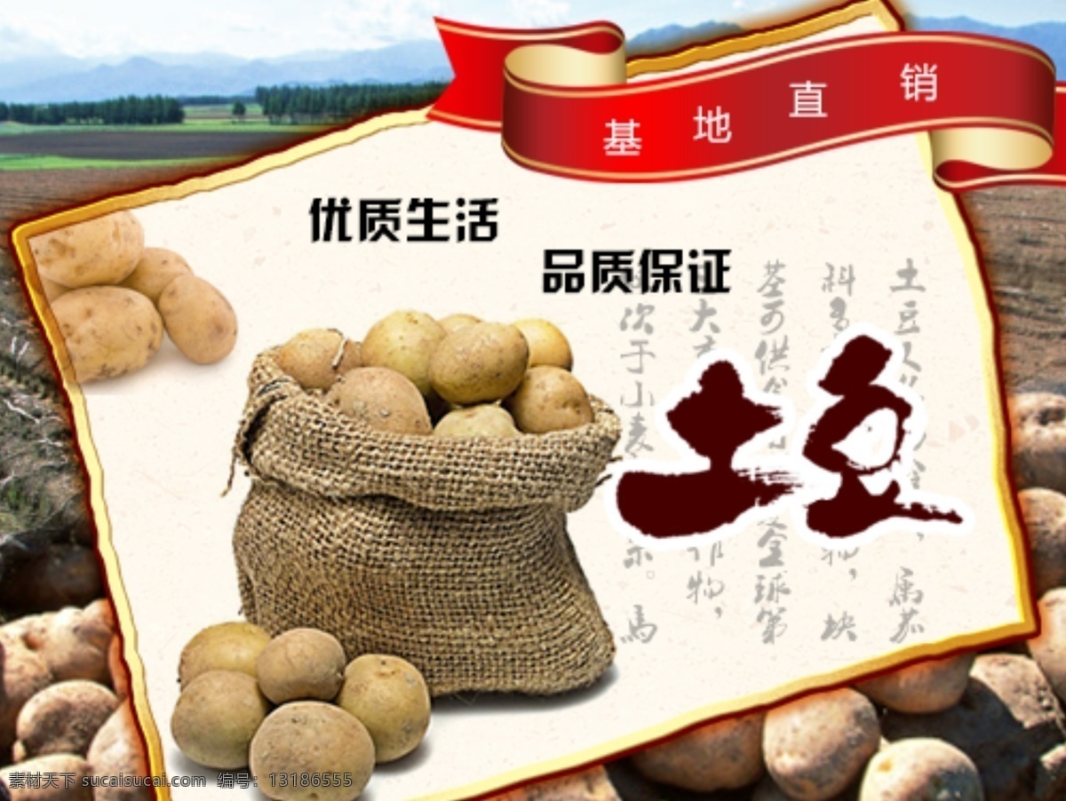 农业 广告 banner 农副产品 土豆 原创设计 原创淘宝设计