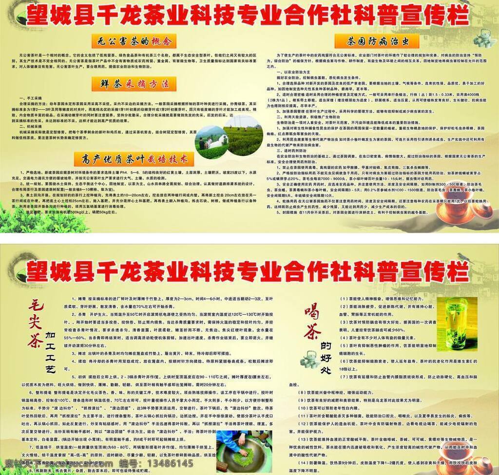 茶业 科普 宣传栏 展板模板 矢量 其他展板设计