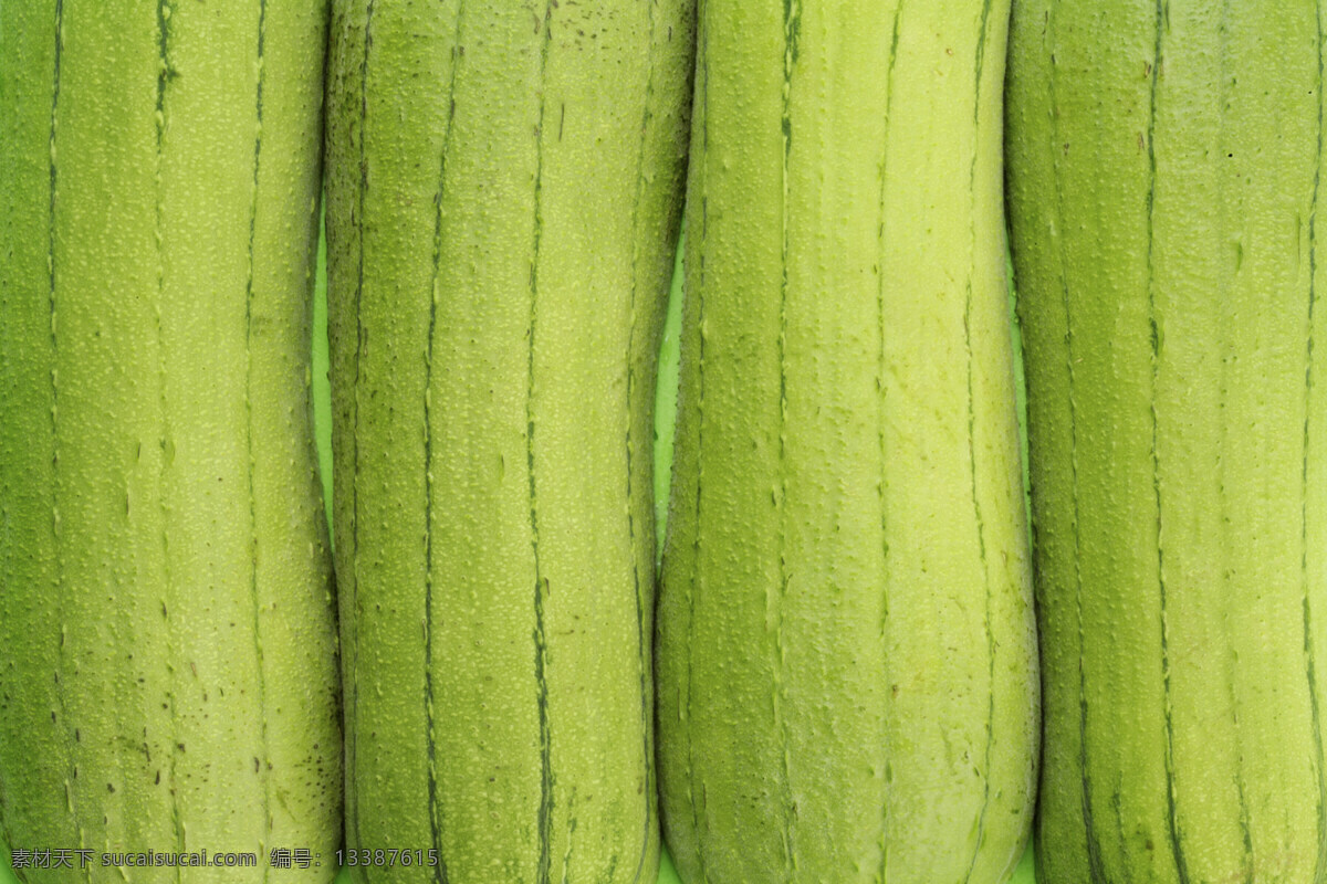 超市蔬菜 健康生活 健康饮食 绿色生活 生物世界 蔬菜 水果蔬菜 丝瓜 新鲜丝瓜 丝瓜底图 丝瓜名片背景 丝瓜背景 新鲜蔬菜 菜篮子 蔬菜批发 风景 生活 旅游餐饮