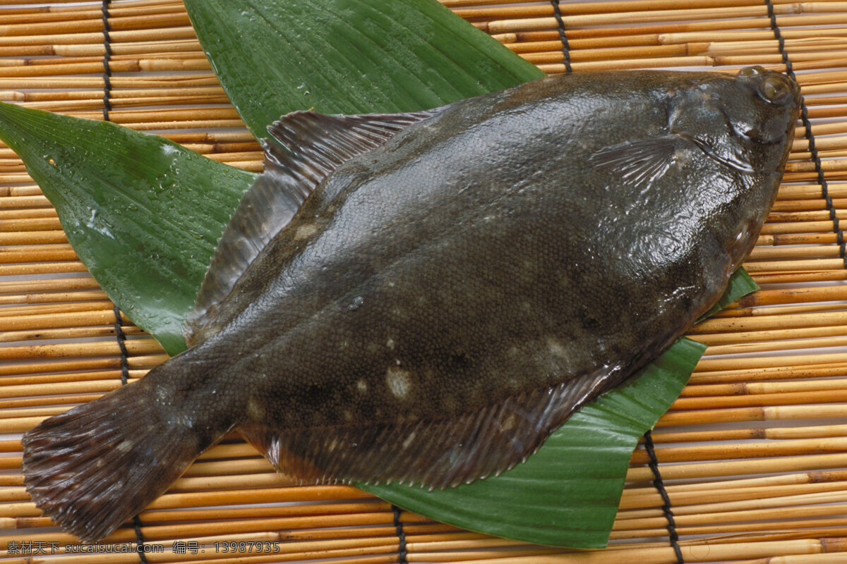 海洋鱼类 餐饮美食 海鲜 海洋生物 海鱼 美味 食物原料 鱼类 洋鱼类 海洋资源 生物世界