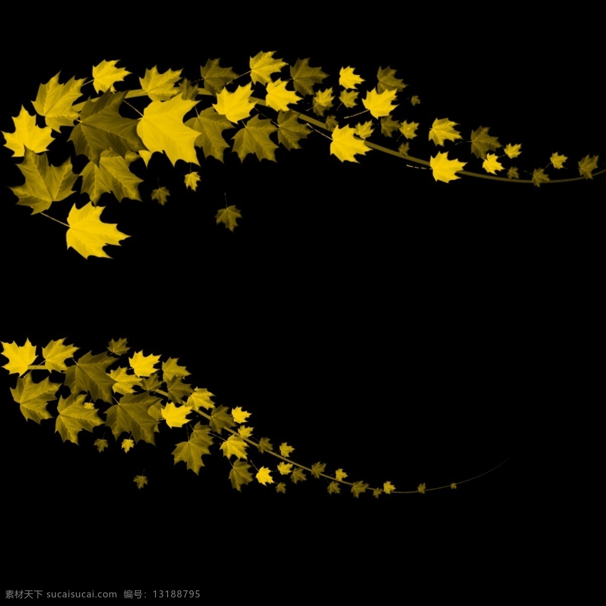 秋天的叶子 秋叶 黄色的叶子 秋天 飘落 黑色
