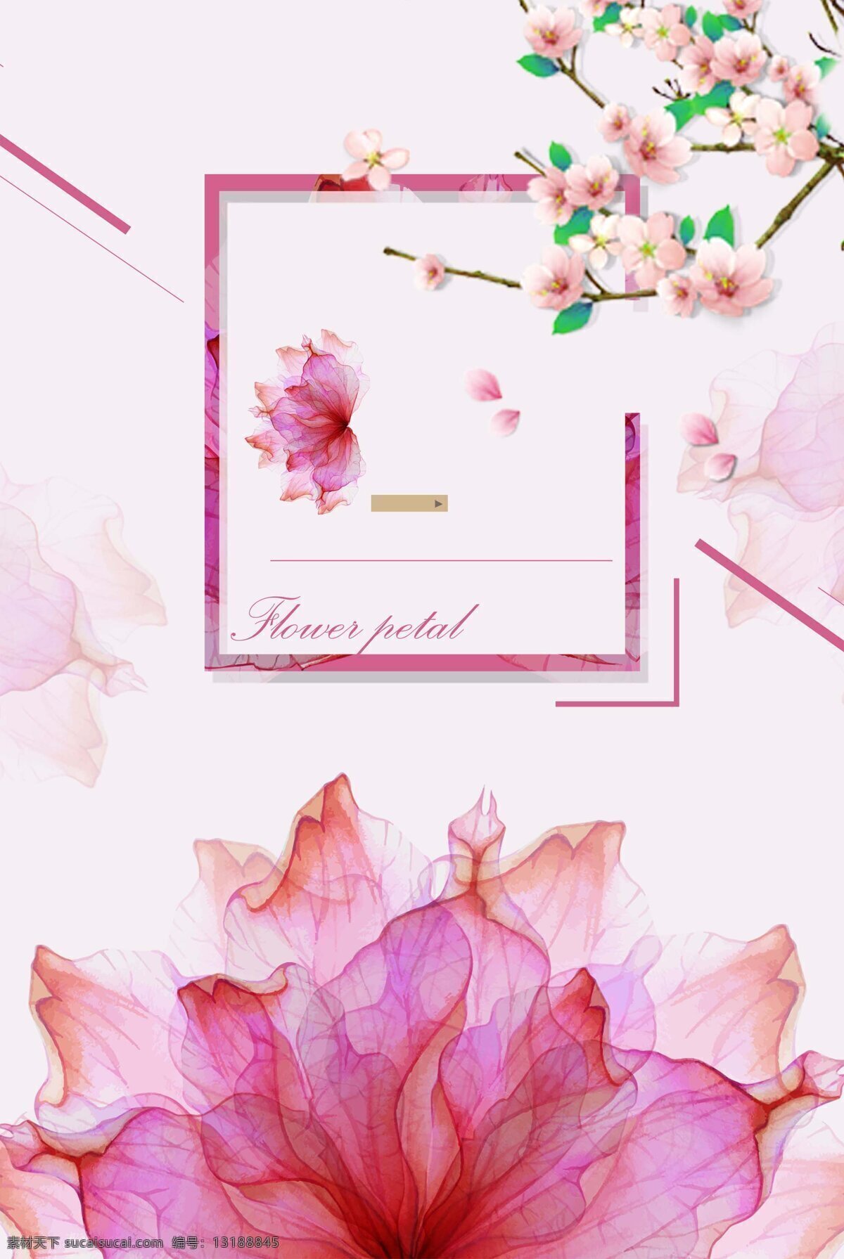 浪漫 透明 花瓣 海报 背景 粉色渐变 几何 花朵 广告背景 背景素材