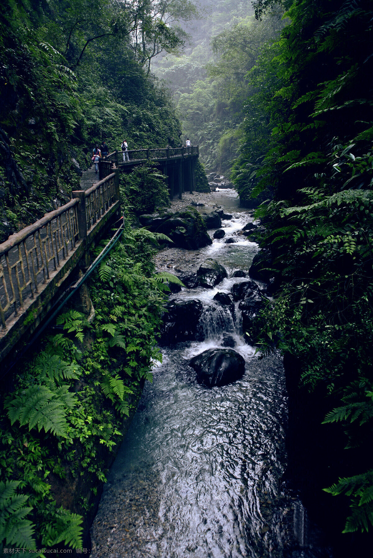 四川峨眉山 自然 山水 山水风景 自然景观