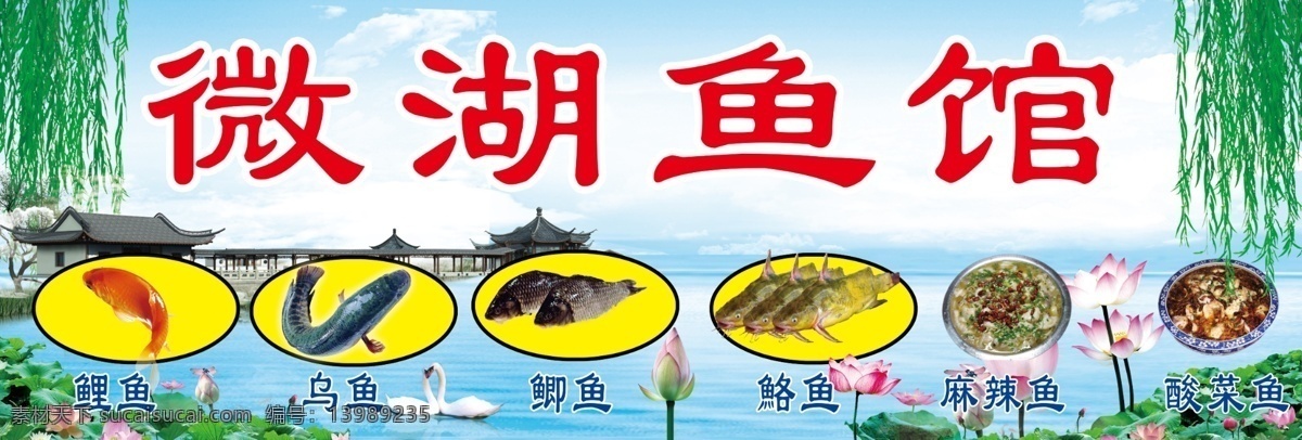 微湖鱼馆 鱼馆 鲤鱼 乌鱼 鲫鱼 荷花 鮥鱼 麻辣鱼 酸菜鱼