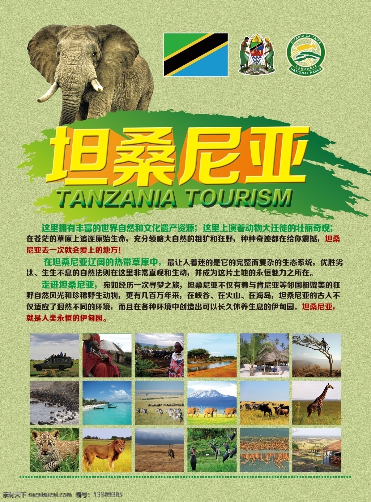 坦桑尼亚单页 畅游坦桑尼亚 旅游 宣传单 广告设计模板 源文件