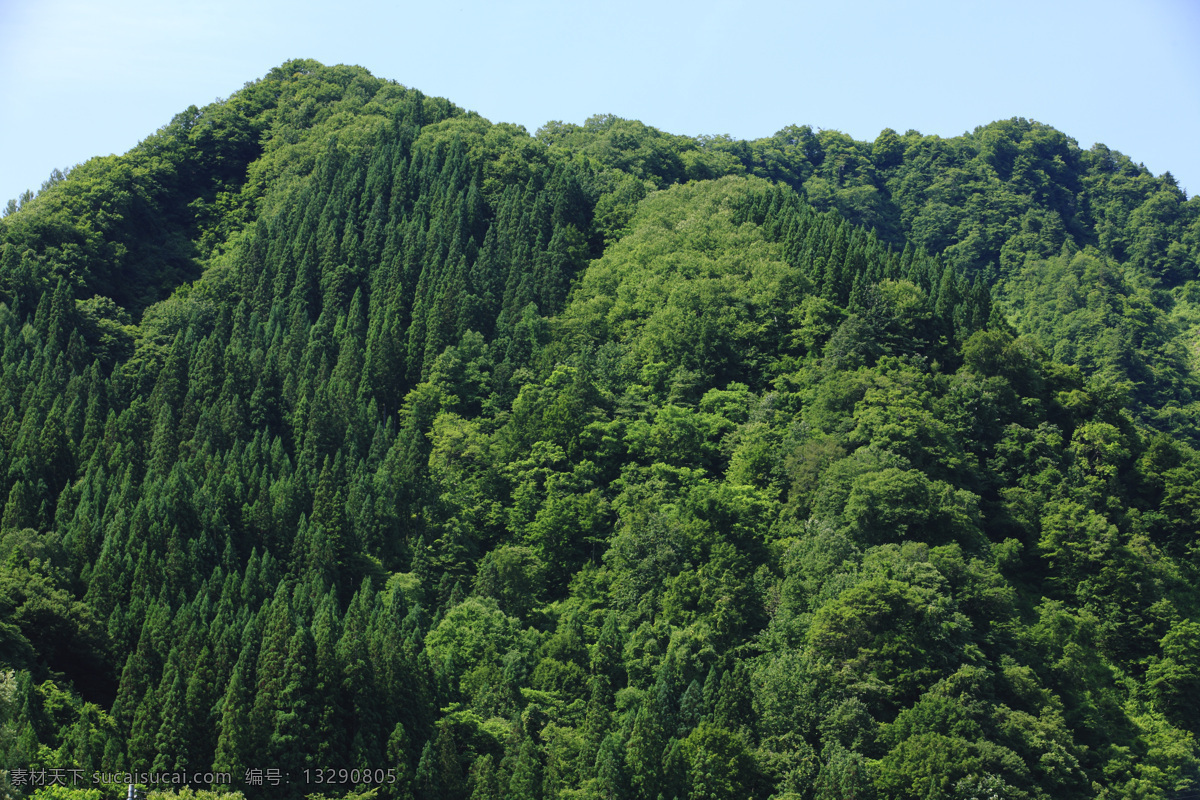 绿色的山脉 绿色 森林 原始森林 树木 山脉 自然风光 自然风景 自然景观 黑色