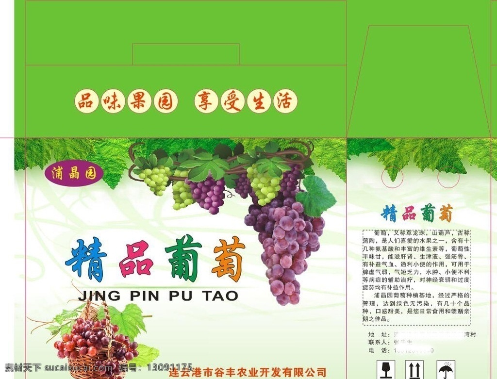 精品葡萄 葡萄箱 葡萄包装 包装 平面图 水果包装箱 水果包装 水果箱 绿色 馈赠佳品 包装设计