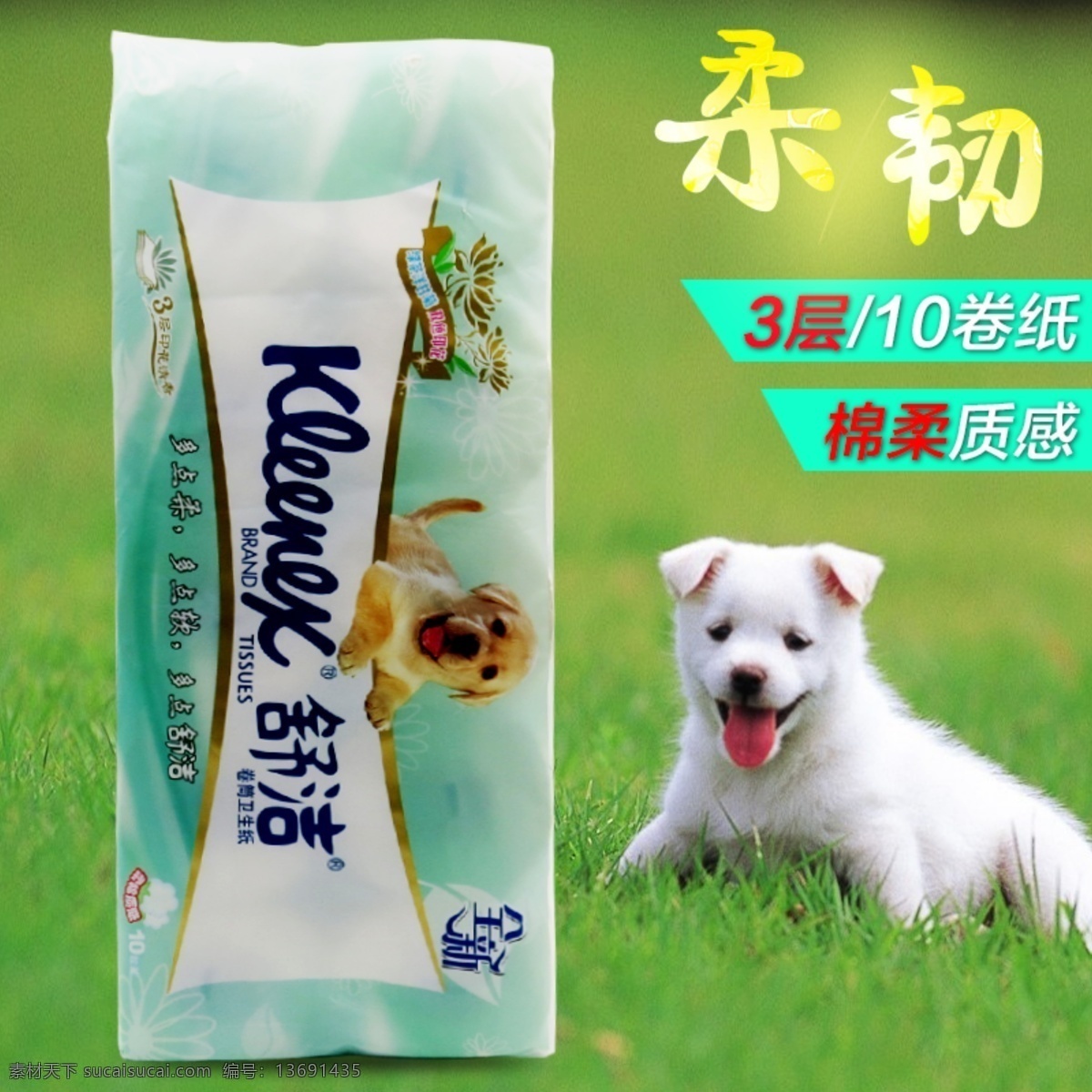 金 佰利 舒洁 卫生纸 主 图卷 纸 首 图 卷纸 首图 绿色