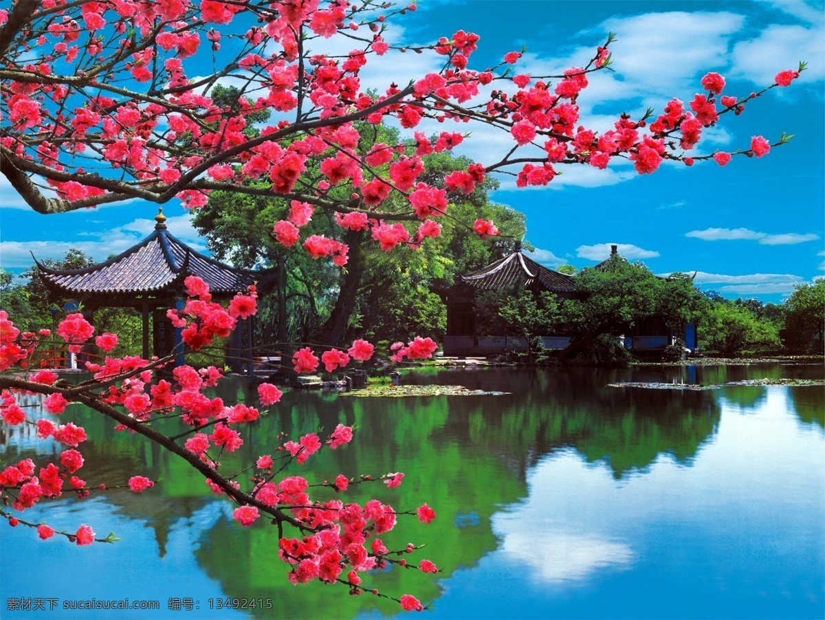 桃花美景 桃花 美景 河水 蓝天 白云 小亭 绿树 分层 风景 源文件库
