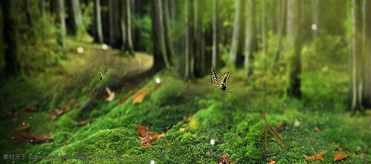 神秘 森林 系 banner 背景 绿色背景 森林背景 植物背景