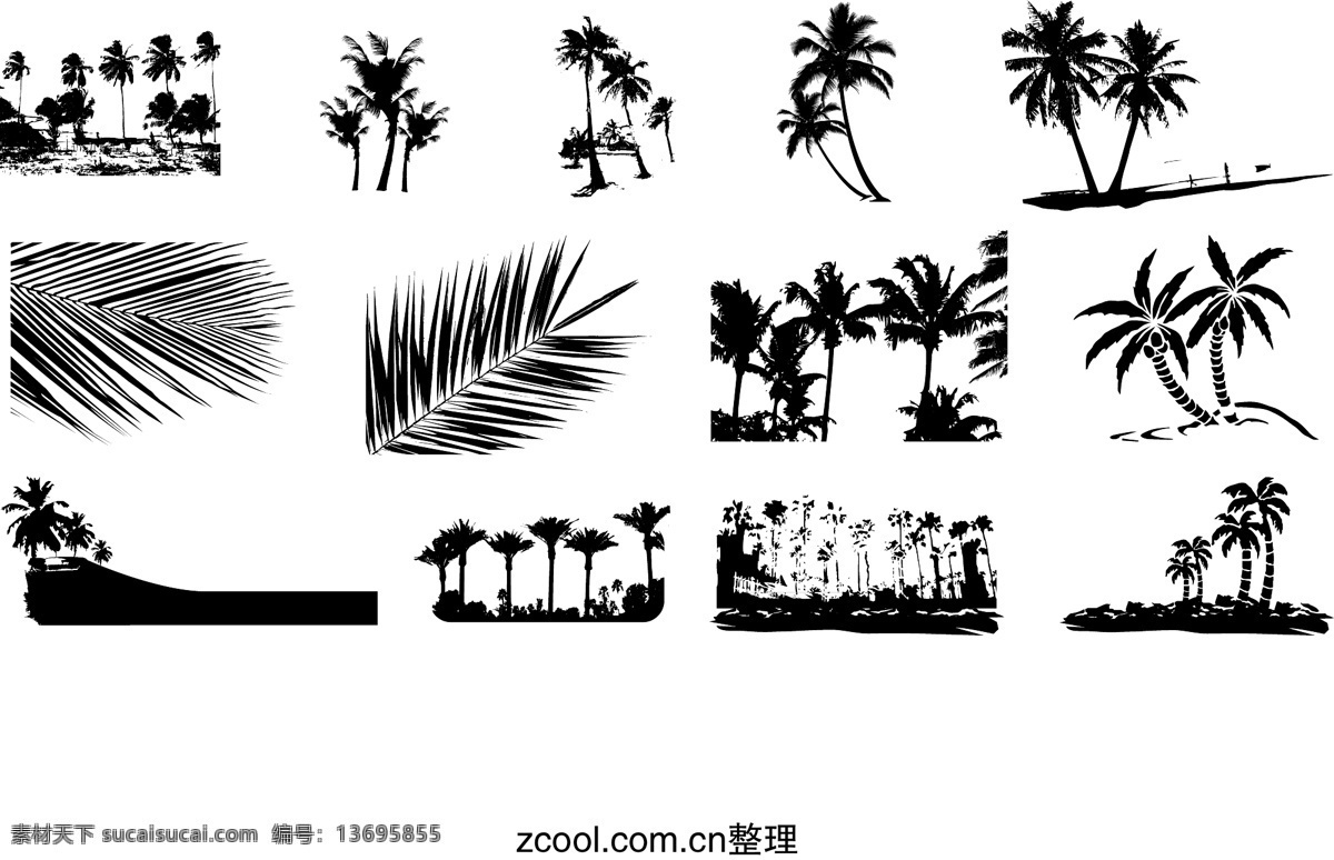 剪影 生物世界 矢量图库 树木树叶 椰树 元素 矢量 模板下载 树叶