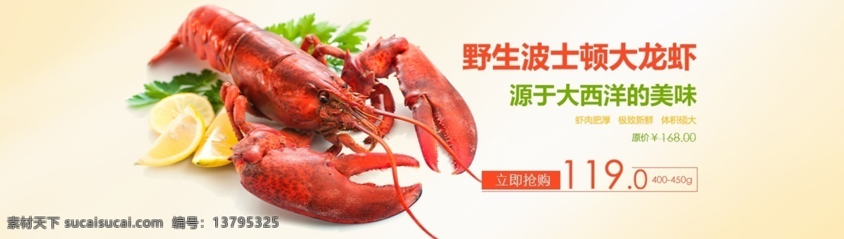 新鲜 大龙 虾 促销 广告 龙虾 生鲜 海鲜 网店 banner 淘宝界面设计 淘宝 白色