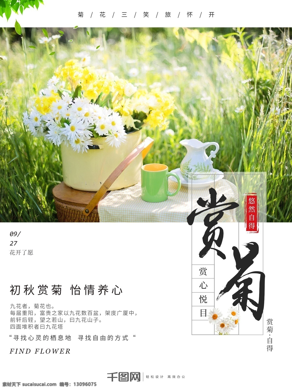 简约 小 清新 赏 菊 菊花 美景 旅行 促销 节日 海报 节日海报 旅游 赏菊 秋季旅游 旅游赏菊 菊花宣传 菊花节