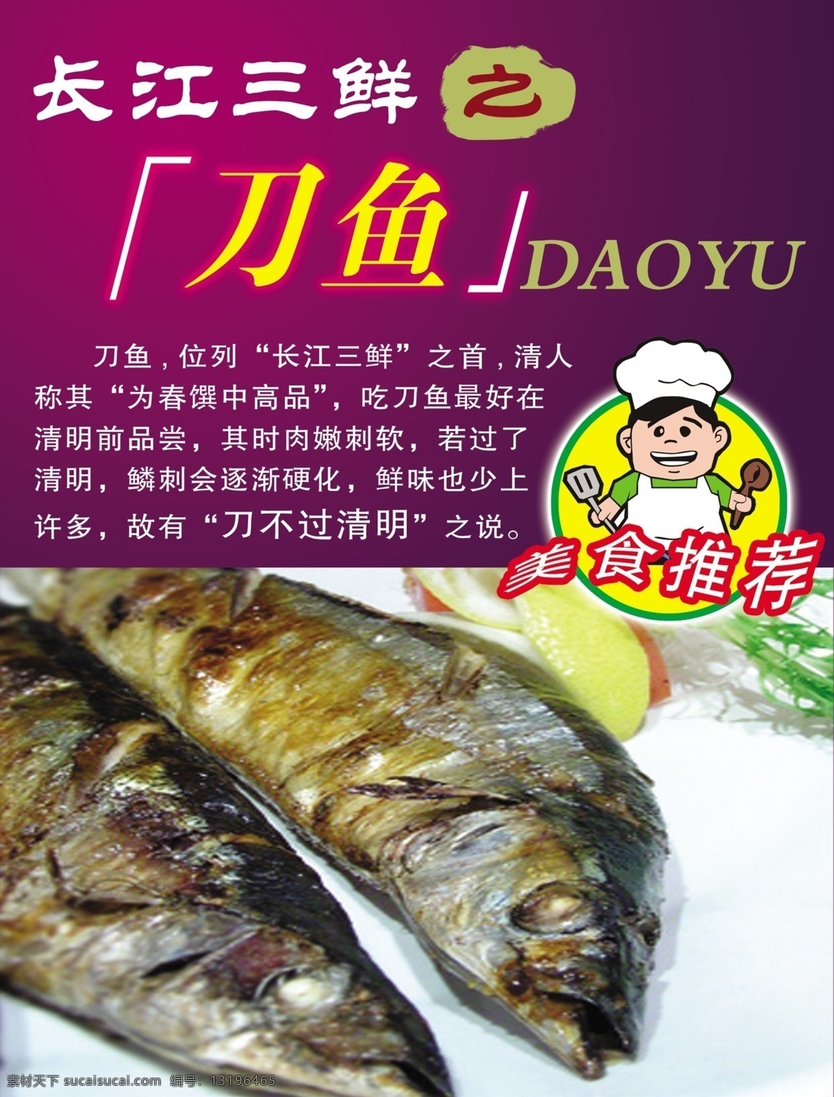 长江 刀鱼 海报 宣传 分层 海报宣传 简介 美食推荐 宣传广告 长江刀鱼 海鲜介绍 psd源文件