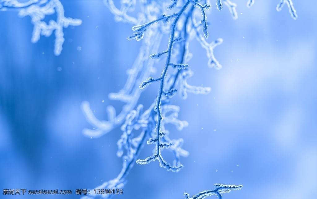 雾凇图片 雾凇 雾凇岛 树挂 吉林 冰柱 自然景观 树 冰天雪地 雪景 唯美 下雪 雪花 雪 霜降 霜 白雾 大寒 小寒 冬天 冬景 旅游摄影 国内旅游