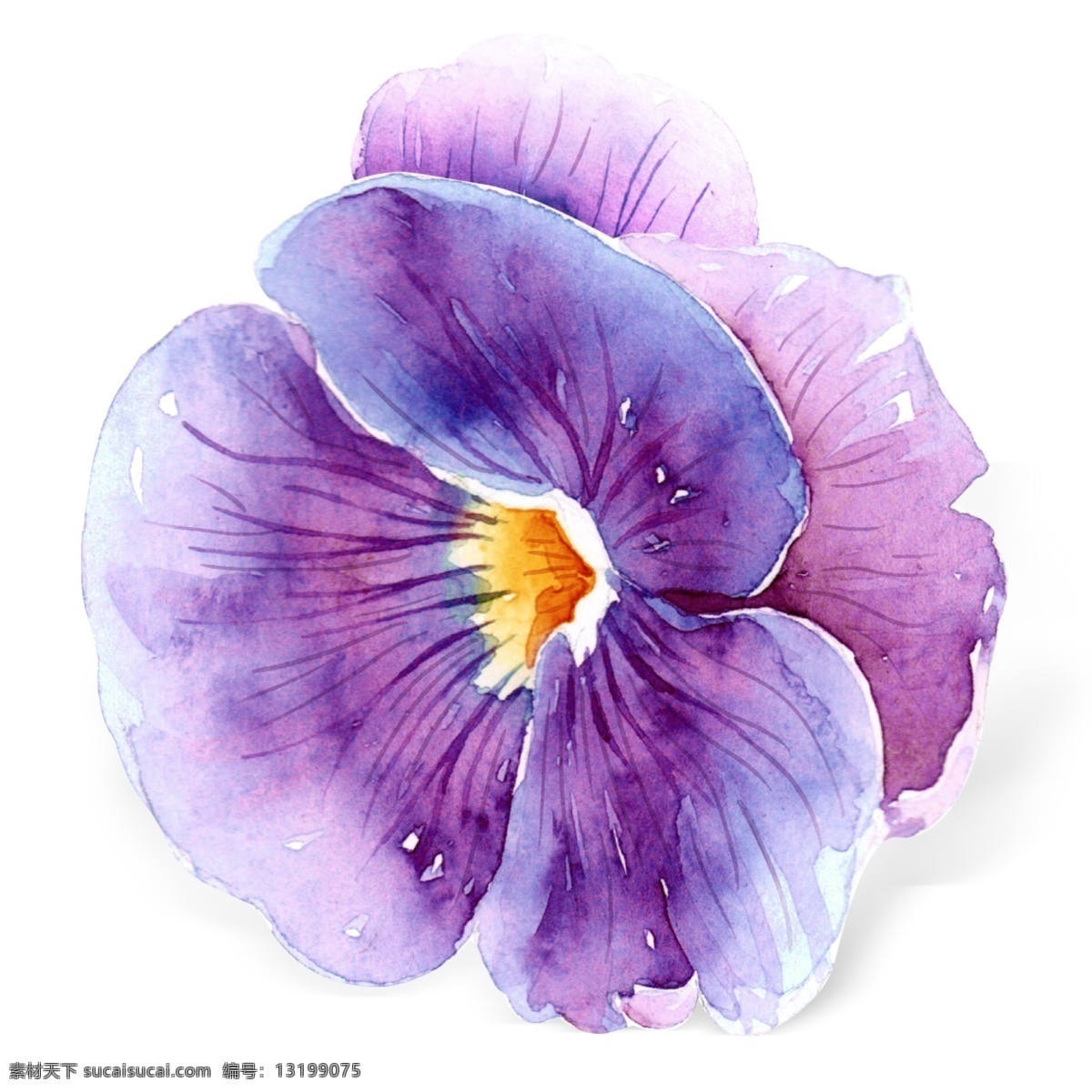 水彩 手绘 兰花 植物 花瓣 元素 手绘花 水彩花 蓝紫色 花瓣元素 植物花瓣