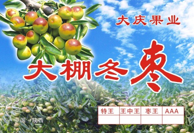 冬枣免费下载 标签 大庆果业 大棚冬枣 原创设计 原创海报