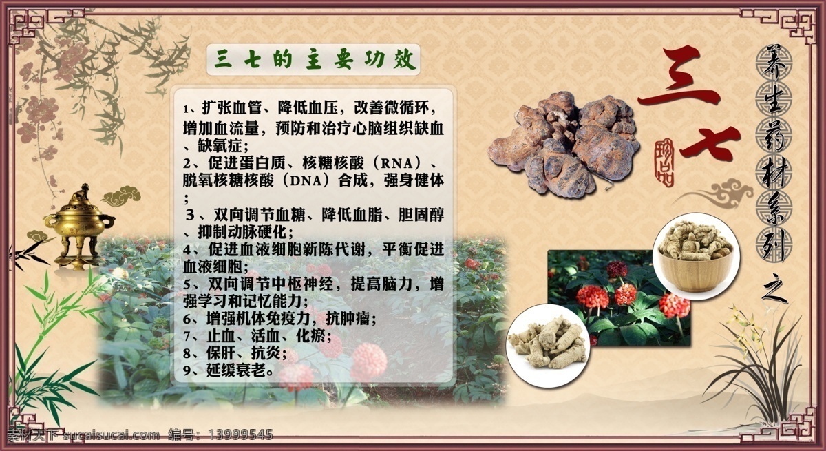 养生 药材 三 七 海报 中国风展板 中药材图片 主要 功效 三七图片 三七花 生长中的三七 系列 原创设计 原创海报
