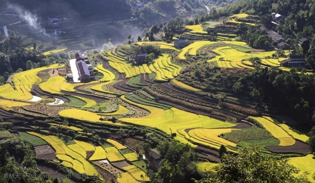 陕南稻田 摄影图 乡土 田园 风光 自然景观 田园风光