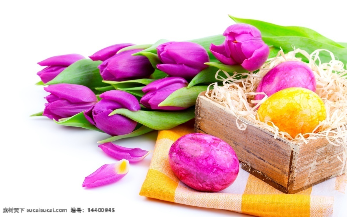 郁金香 彩蛋 复活节 复活节礼物 鲜花 花朵 花卉 紫色郁金香 木盒 花草树木 生物世界