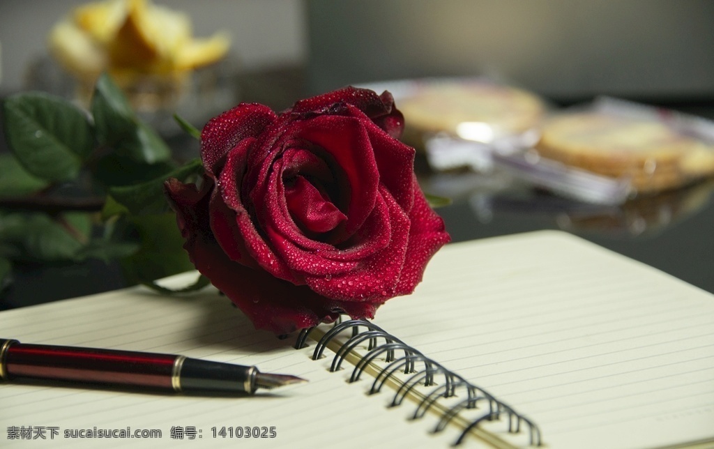 玫瑰图片 红玫瑰 玫瑰花 鲜花 情人节 情人节图片 情人节素材 爱情 爱情图片 爱情素材 鲜玫瑰 生物世界 花草