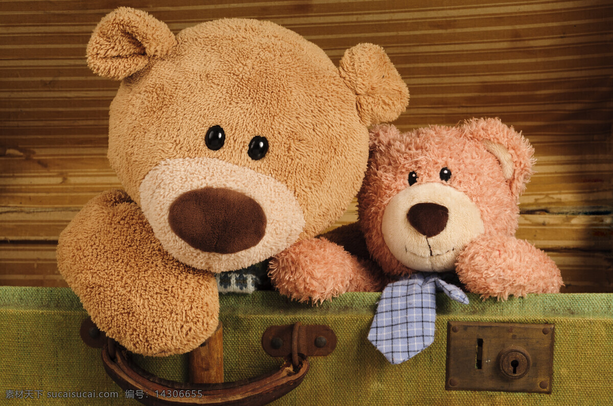 可爱 泰迪 熊 玩具 泰迪熊 可爱小熊 毛绒玩具 儿童玩具 其他类别 生活百科
