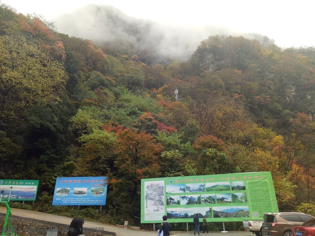 柞水牛背梁 山中景观 秋景 秋叶 黄叶 柞水景观 牛背梁山中景 树林 树木 远山 雨中山景 摄影照片 自然景观 自然风景