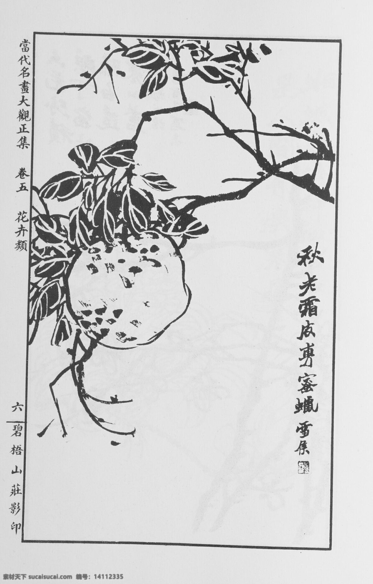 花卉画 中国画 当代 名画 大观 正 集 设计素材 花鸟画篇 中国画篇 书画美术 白色