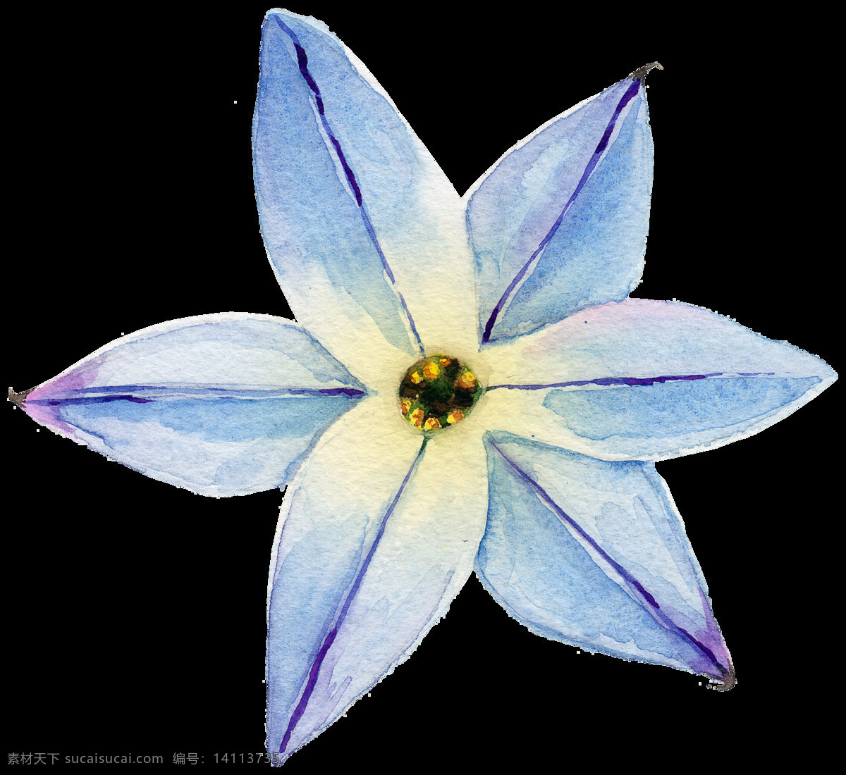 蓝色 花朵 水彩 透明 手绘 透明素材 免扣素材 装饰图案