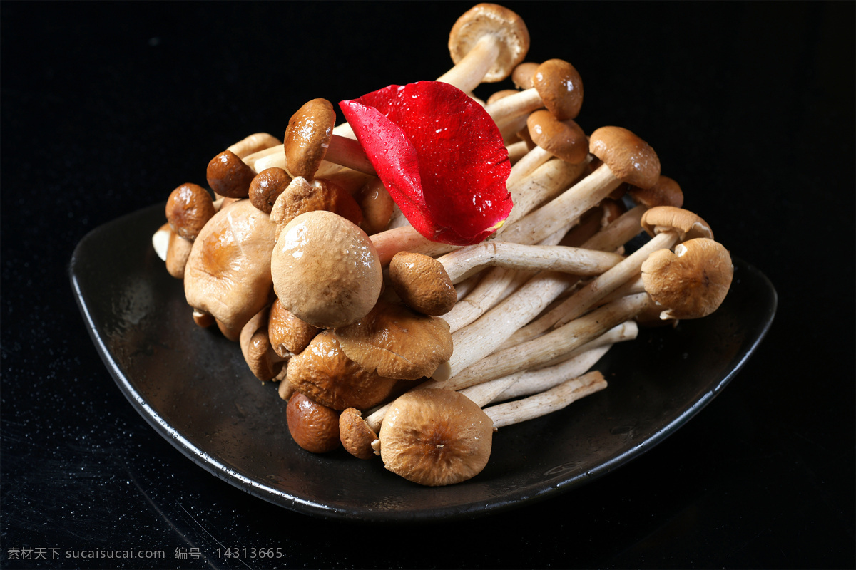 菌类 鲜 茶树 菇 菌类鲜茶树菇 美食 传统美食 餐饮美食 高清菜谱用图