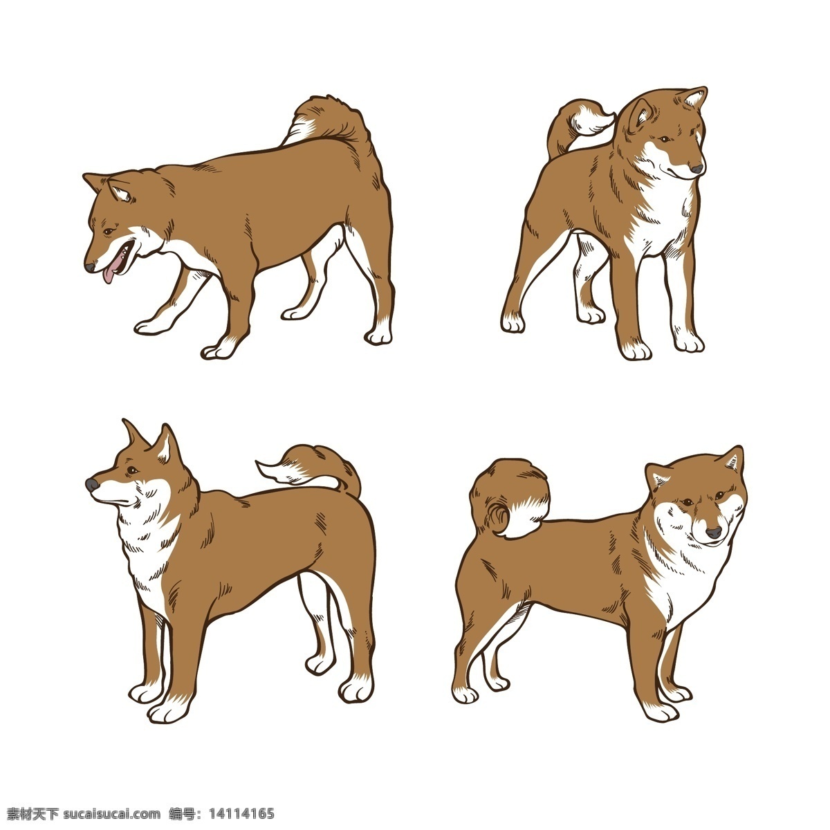 插画 柴犬 动物 搞笑 狗 卡通 卡通狗 可爱 可爱宠物 犬 手绘 四 种 姿势 大