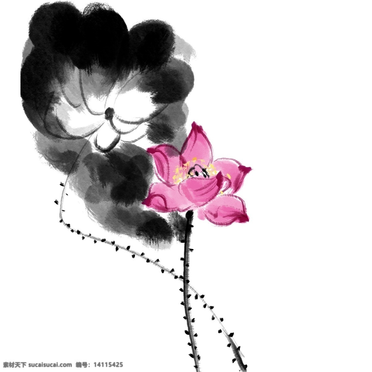 粉色 水墨 荷花 插画 粉色的荷花 卡通插画 水墨插画 水墨植物 植物插画 花朵插画 水墨的荷花