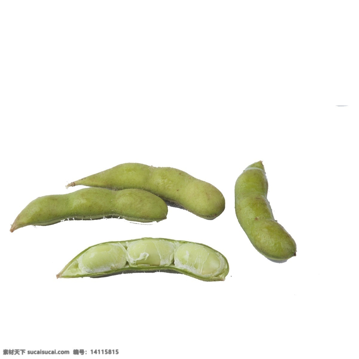 绿色 荷兰豆 免 抠 图 绿色植物 豆子 美味的豆子 豆子植物 新鲜植物果实 蔬菜 绿色的荷兰豆 免抠图