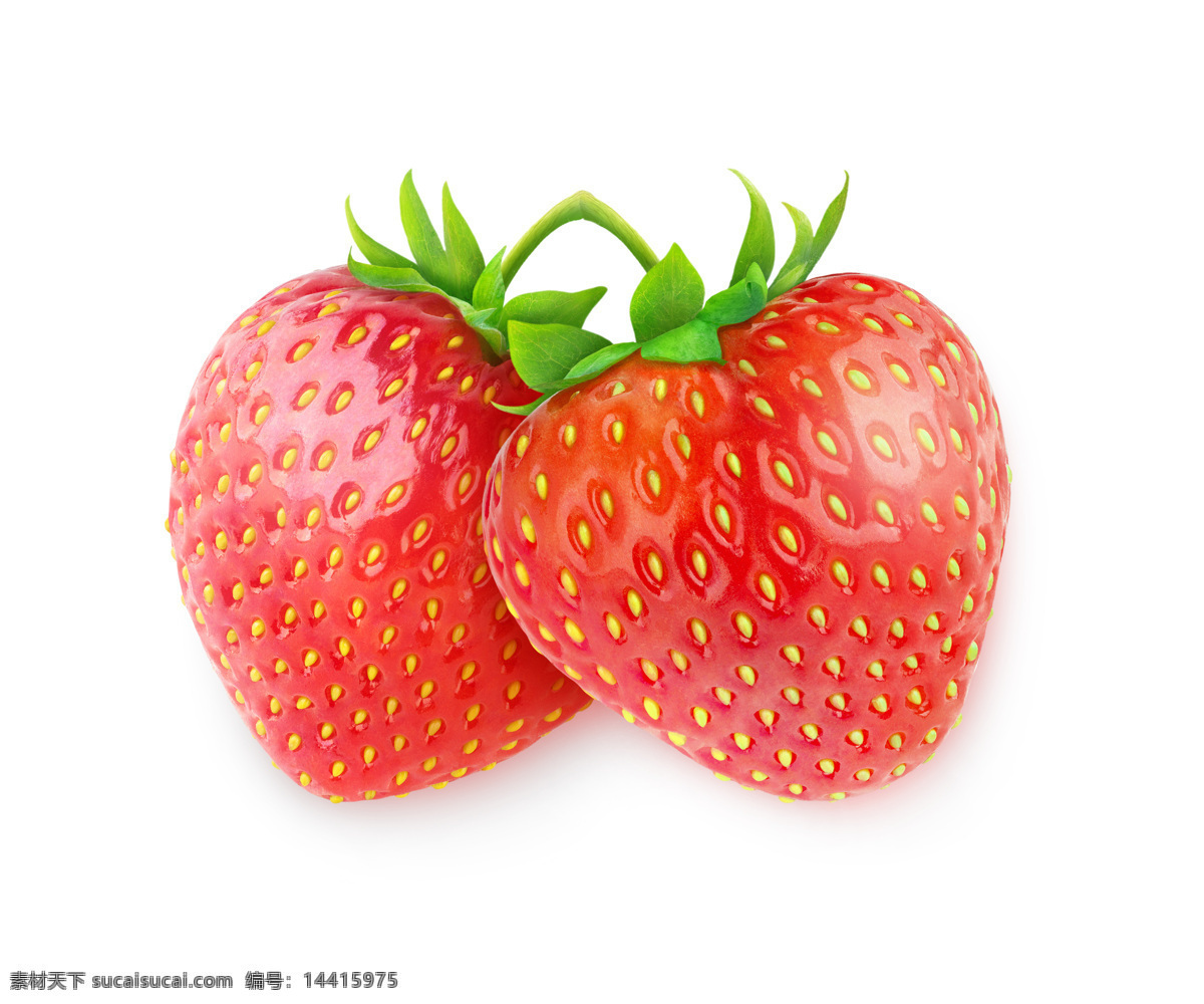 草莓 高清 红色 可口 水果 新鲜 新鲜水果 红草莓 红莓 两个 风景 生活 旅游餐饮