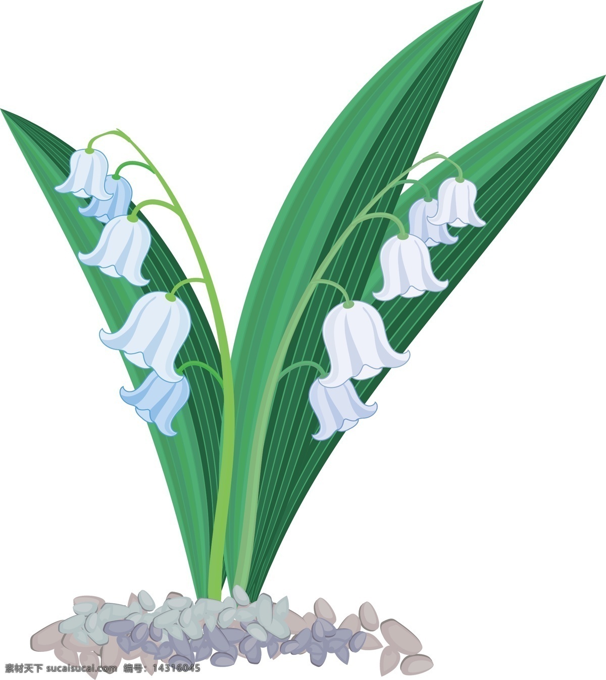 卡通 花丛 矢量 商用 花朵 矢量图 元素 铃兰花