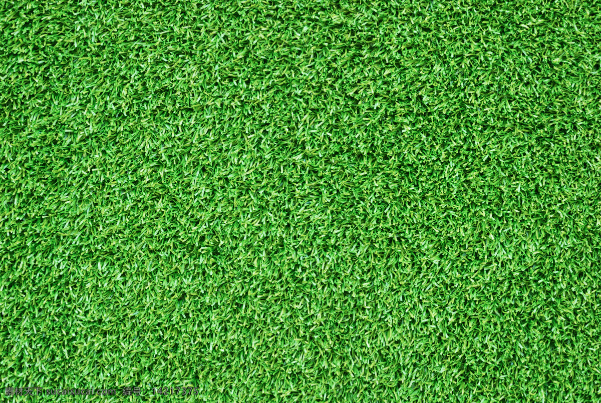 草坪 广告 绿色 背景 制作 背景图案 图案设计 背景素材 材质 广告背景设计 墙面