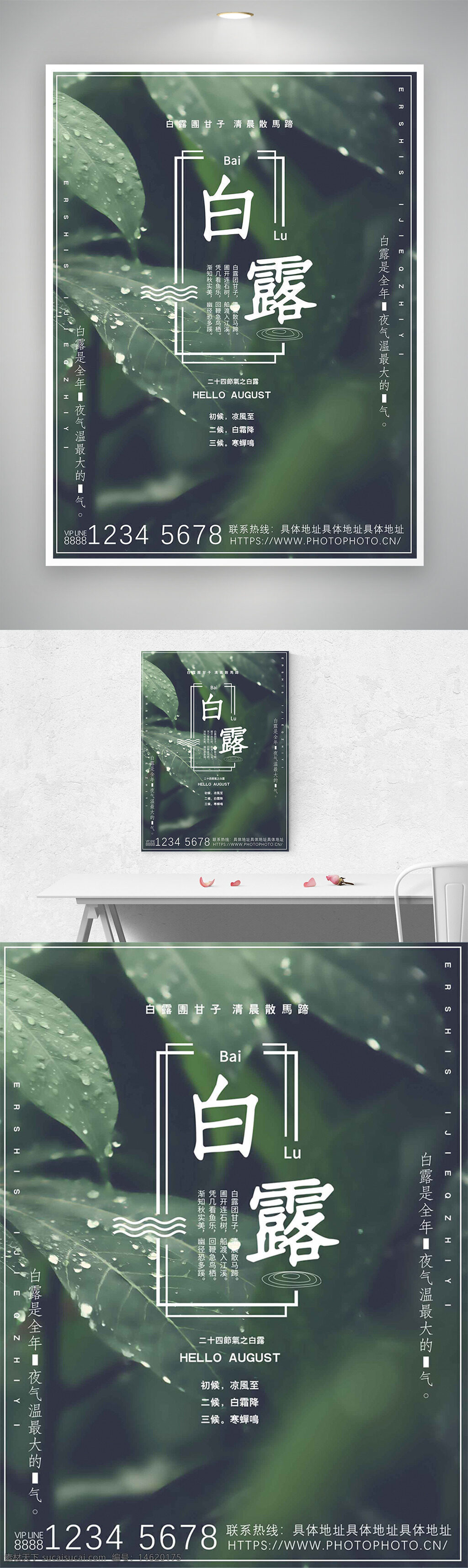 白露 二十四节气 绿叶背景 自然摄影 清新设计 水滴图案 传统文化 绿色主题 简约风格 季节变化 秋季节气 视觉创意