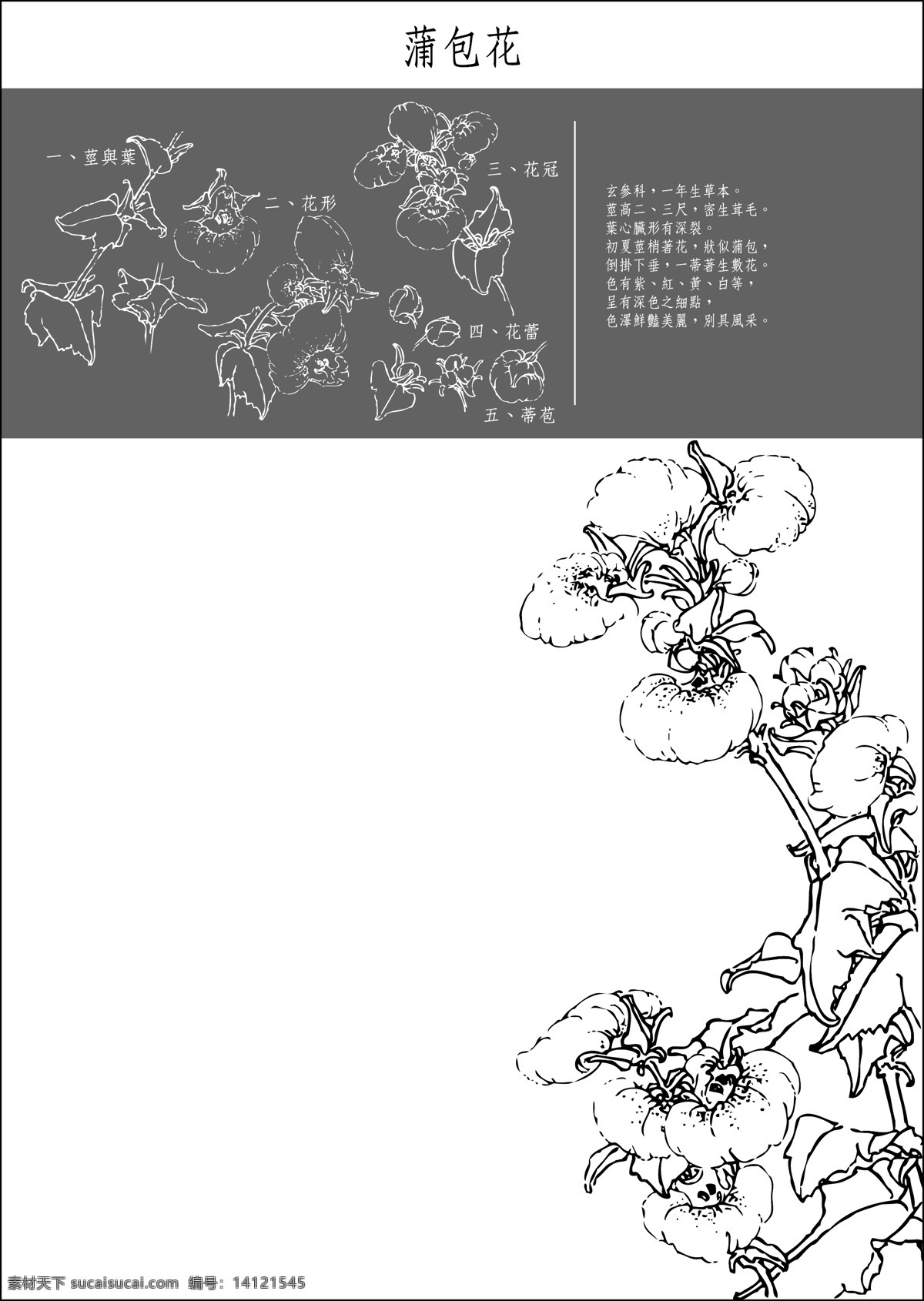 矢量 白描 蒲包 花 底纹 花纹 矢量图 花纹花边