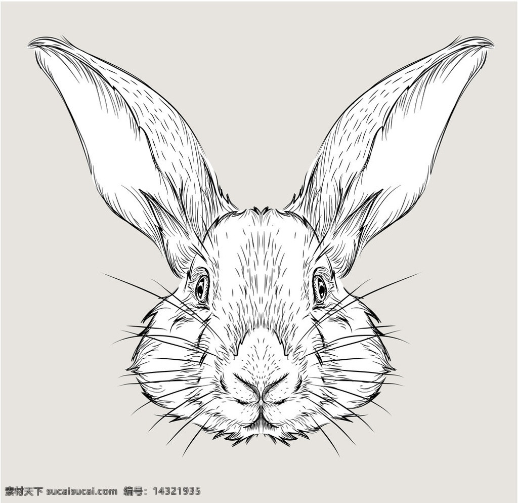 手绘卡通兔子 动物 兔子 卡通 手绘 欧式 无框画 装饰画 小动物 兔 电视 背景 墙 生物世界 野生动物