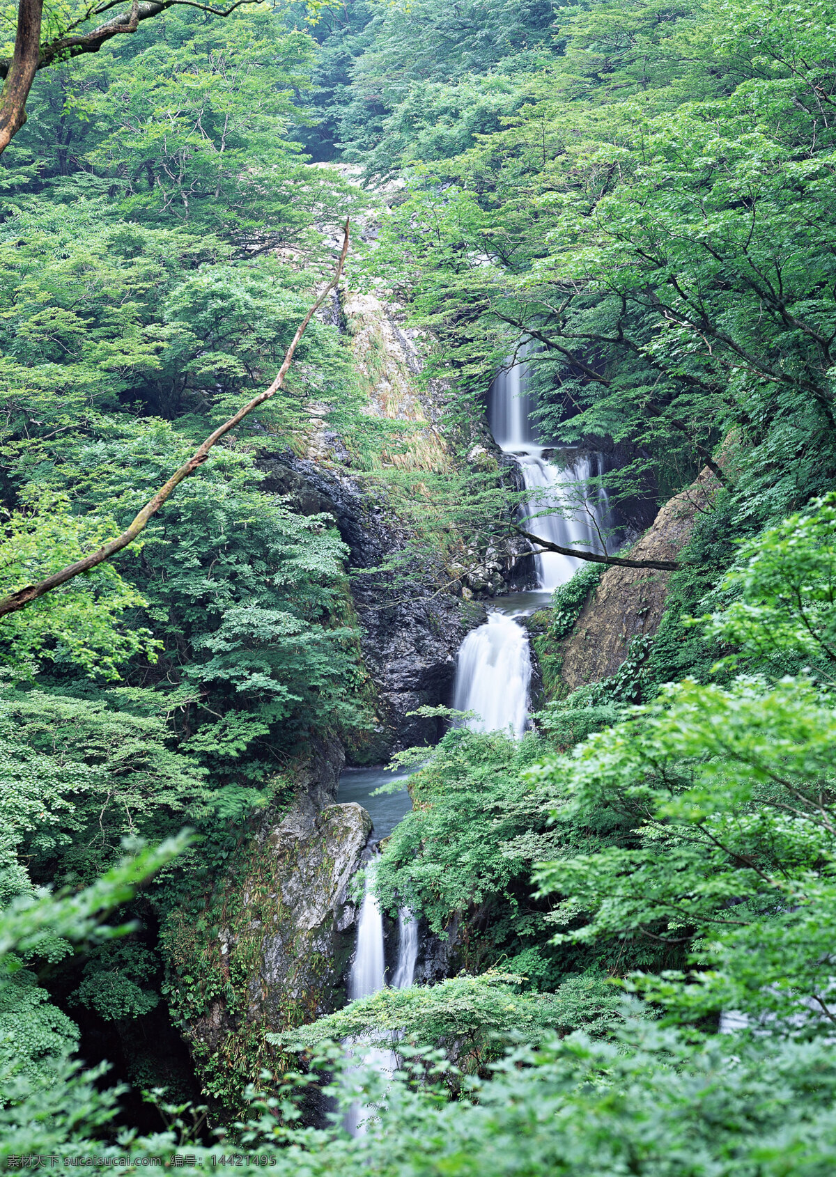 财源滚滚 风景 风景画 高山流水 河流 流水生财 绿树 山峰 山间 小溪 山间小溪 急流 山水风景画 山水 细水长流 溪流 溪水 摄影图 山水风景 自然景观 家居装饰素材