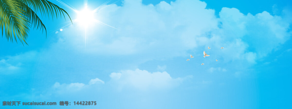 简洁 蓝色天空 背景 图 banner 大气 海报 椰树