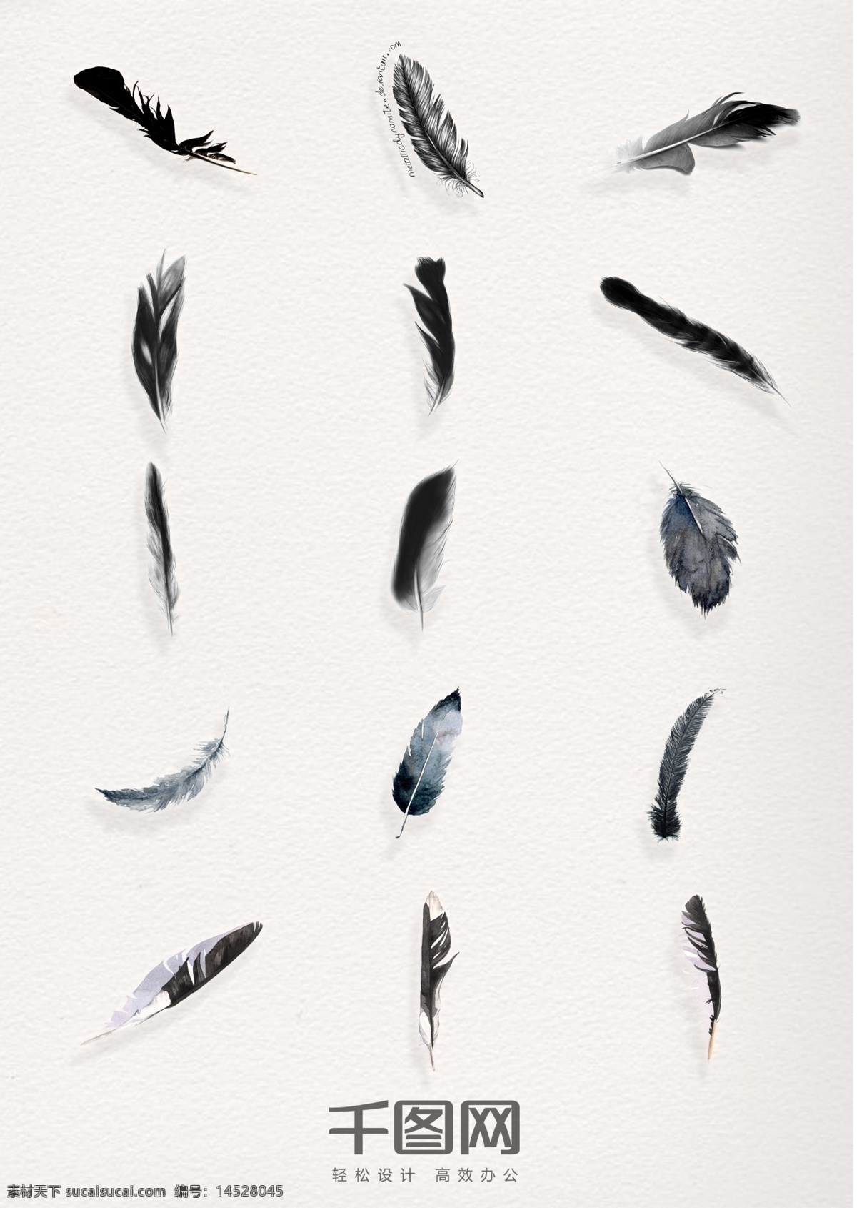各类 羽毛 黑色 元素 图案 实体羽毛 羽毛元素 羽毛实体图案 羽毛装饰图案 黑色羽毛 各类黑色羽毛 手绘羽毛