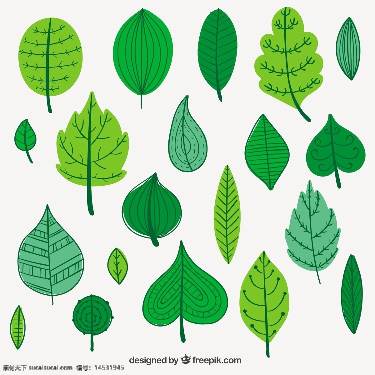 绿叶插图 自然 绿色 树叶 植物 插图 植被 矢量 eps文件