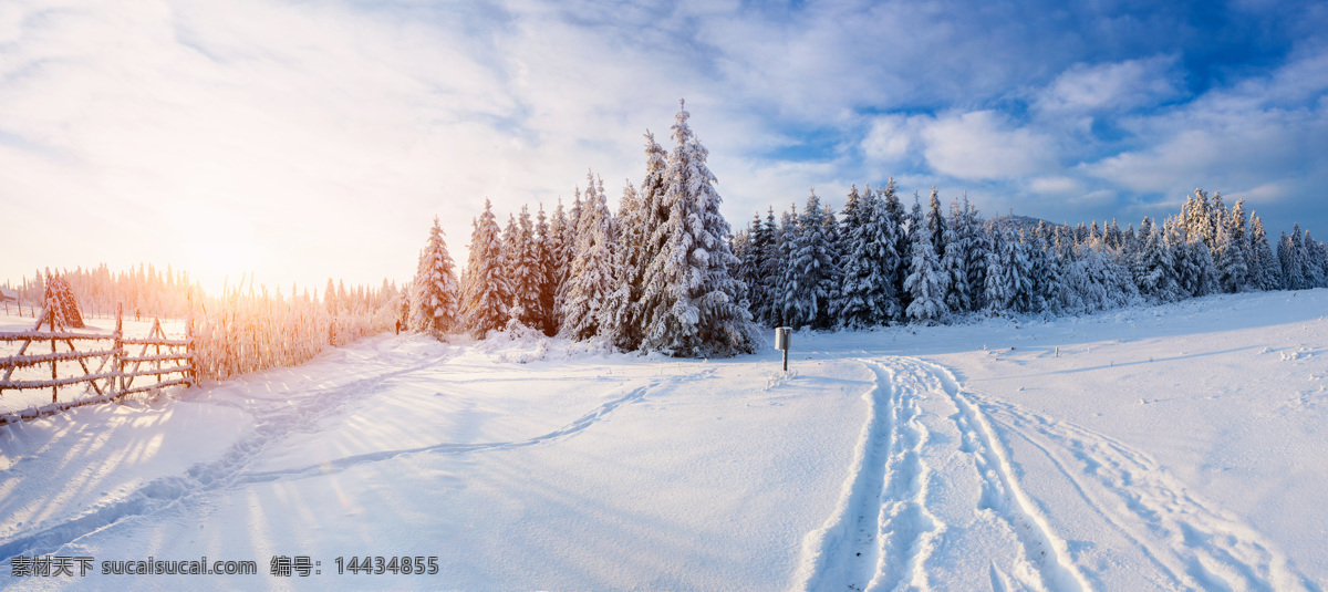 冬季美景 美丽风景 自然美景 风景摄影 雪地风景 自然风景 树木 美丽的雪景 冬天风景 自然景观 白色