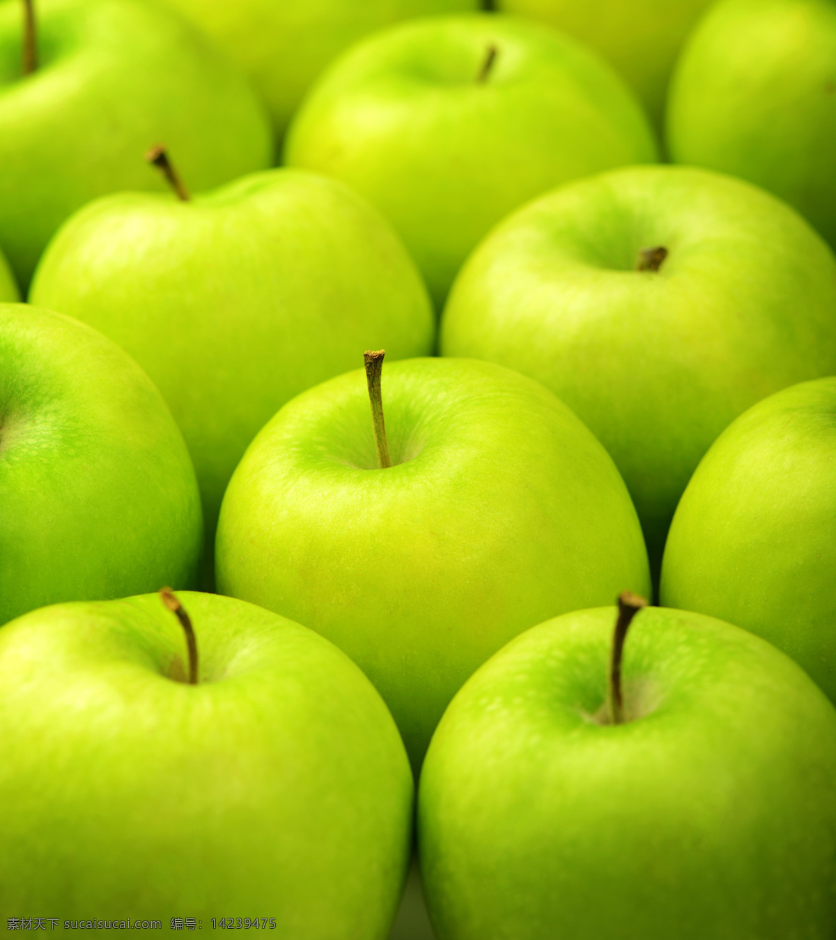 青苹果 背景图片 青苹果背景 苹果 新鲜苹果 新鲜水果 水果摄影 水果蔬菜 餐饮美食 绿色