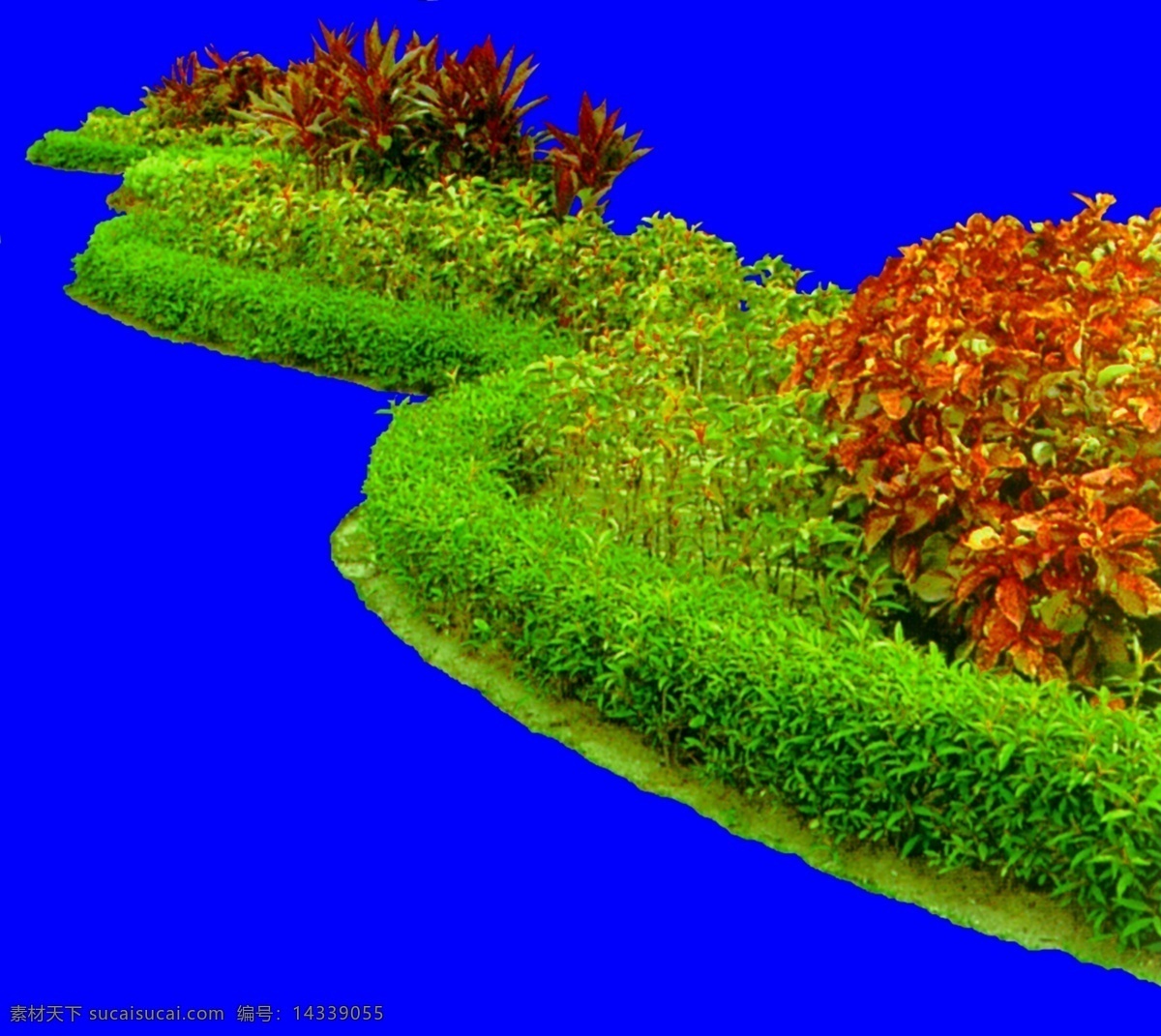 灌木 效果图 植物 配景 园林植物 配景素材 园林 建筑装饰 设计素材 3d模型素材 室内场景模型