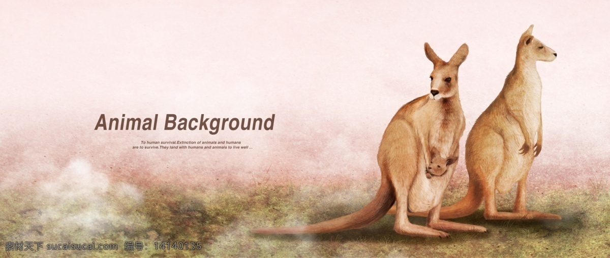 袋鼠 复古 宣传海报 生物世界 动物乐园 动物展示 动物园 设计素材 动物展示海报 海报背景 复古海报 猎豹 野生动物 分层素材 动物海报 卡通动漫
