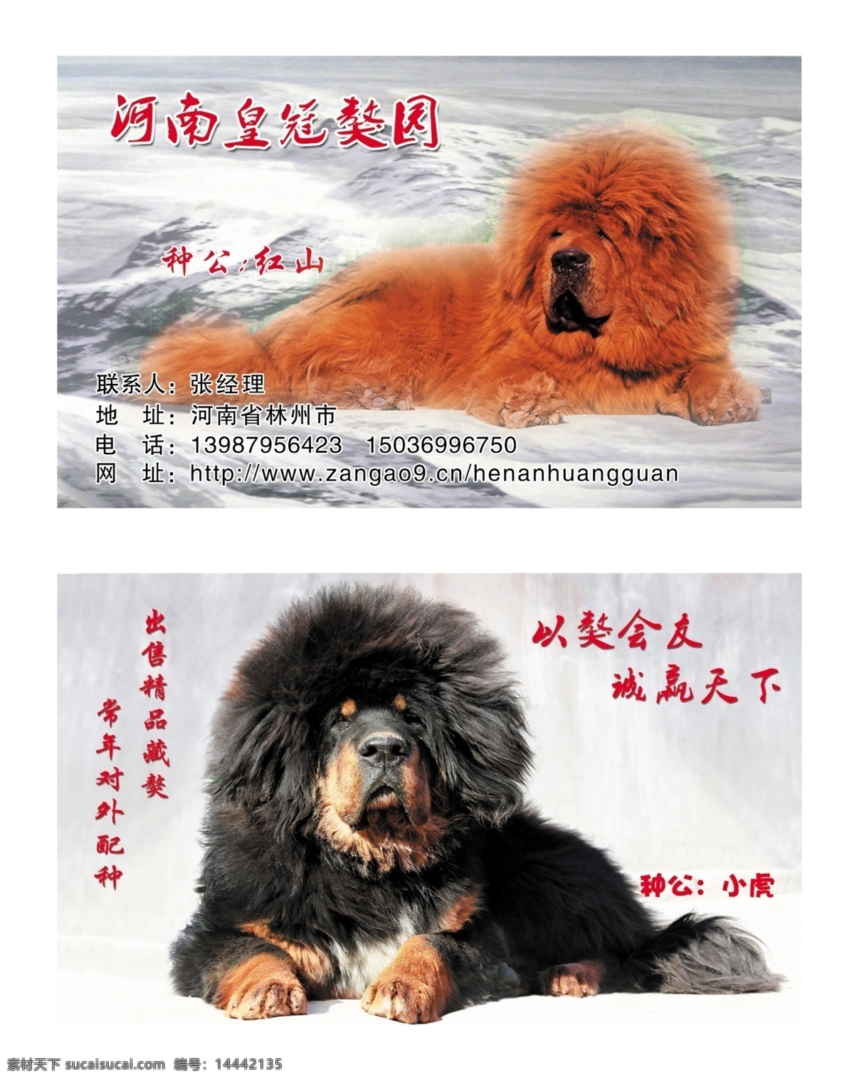 藏獒园名片 藏獒名片 雪山 狗名片 名片卡片 广告设计模板 源文件