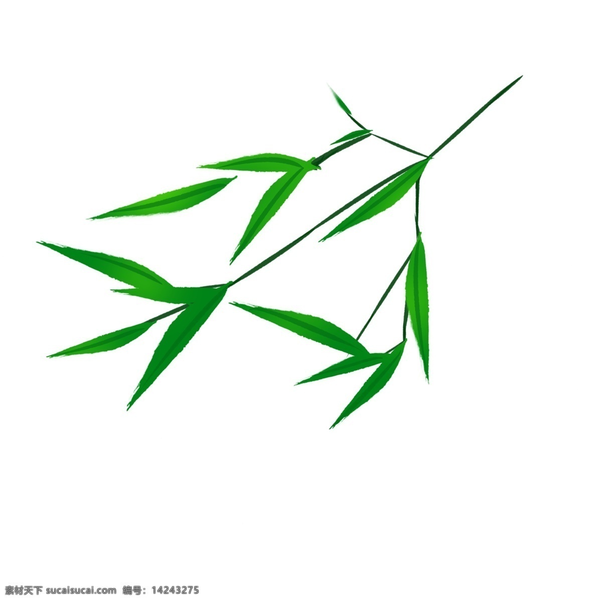 清新 脱俗 竹叶 插画 竹子 叶子 绿色叶子 竹叶插图 竹子叶子 绿色竹叶 绿竹叶