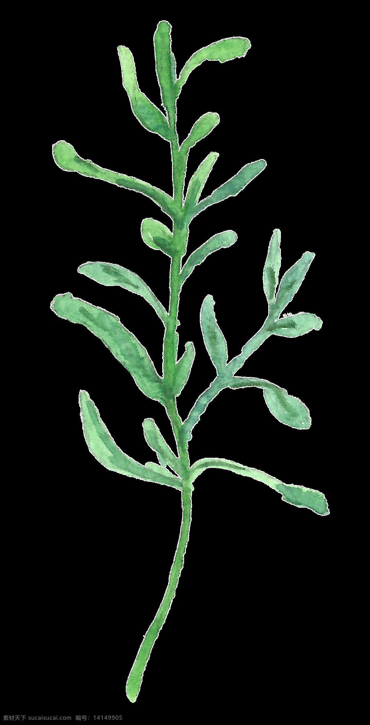 绿色 嫩芽 植物 卡通 水彩 透明 免扣 手绘 透明素材 装饰 设计素材 淘宝素材 海报设计装饰 装饰图案